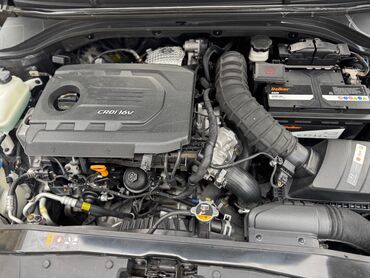 Hyundai: Hyundai Elantra: 1.6 l | 2016 il Sedan — 5