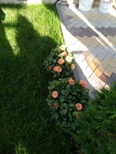 Иссык-Куль 2025: Коттедж, 🌈 ЦО Радуга West, Кош-Кол, Детская площадка, Парковка, стоянка, Охраняемая территория — 16