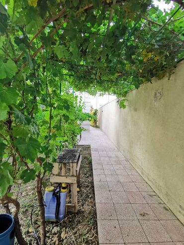 Uzunmüddətli kirayə evlər: 212 kv. m, 4 otaqlı, Kanalizasiya, Kombi, Qaz -da lalafo.az — 17 Uzunmüddətli kirayə evlər: 212 kv. m, 4 otaqlı, Kanalizasiya, Kombi, Qaz — 17