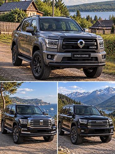 haval: Универсальный, Новый, Бесплатная доставка — 2