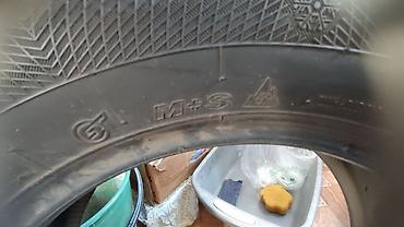 maksi: Шины 195 / 65 / R 15, Зима, Б/у, Комплект, Легковые, Китай, Maxxis — 9