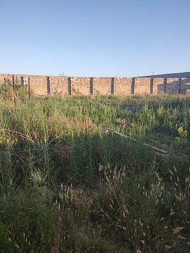 hovsan qəs: Mehemmedli qesebesi zeytun bagiyla uzbe uz 8 soot kupcali torpaq — 2
