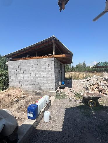 алтын казык ж м: 5 соток, Красная книга — 2
