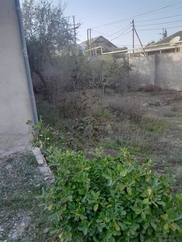 Həyət evləri və villaların satışı: 1 mərtəbəli fərdi yaşayış evi - Plan: giriş dəhlizi, qonaq otağı,2 — 6