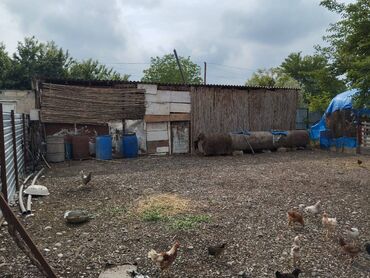 Həyət evləri və villaların satışı: 6 otaqlı, 225 kv. m, Kredit yoxdur, Orta təmir -da lalafo.az — 17 Həyət evləri və villaların satışı: 6 otaqlı, 225 kv. m, Kredit yoxdur, Orta təmir — 17