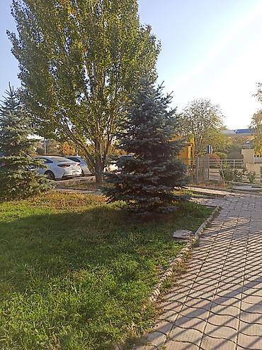 Продажа офисов: Продажа офисов 1300 м², Без ремонта, Без мебели, Многоэтажное здание, 1 этаж — 7