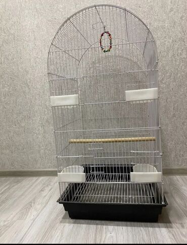 Qəfəslər: Her qiymete her olcude yeni qefeslermiz var satisda bayram edirimleri -da lalafo.az — 12 Qəfəslər: Her qiymete her olcude yeni qefeslermiz var satisda bayram edirimleri — 12