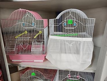 Зоотовары: Клетки для птиц и грызунов! — 6