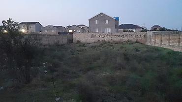 naxcivan ev: Biznes üçün, Kupça (Çıxarış) — 4