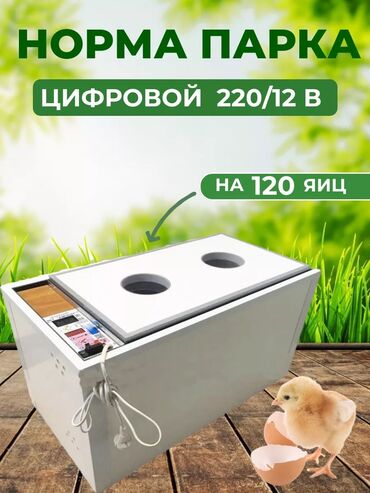 Продается 3 инкубатора. Норма парк 120 мест С10 18000 сом,С8 16000