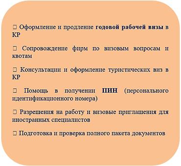 Оформление виз, ПИН и сопровождение компаний Оказываем комплексное