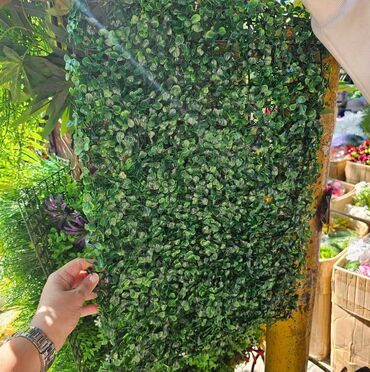 Baštenska dekoracija: Vestacko zelenilo, paneli i dodaci za ukrasavanje prostora, kuce — 5