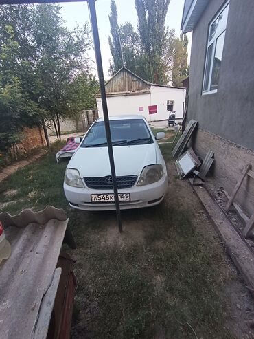 машина на час: Toyota Corolla: 2000 г., 1.5 л, Автоматтык, Бензин, Седан