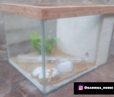 Heyvanlar üçün digər mallar: Hər ölçüdə hər dizaynda qarışqa yuvaları yığılır səliqəli və təmiz — 28