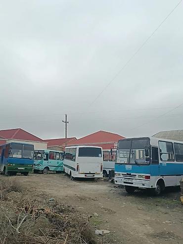 bakı göyçay avtobus: Satılır: Kiçik/orta tutumlu şəhər daxili marşrut avtobusları Məhsul — 10