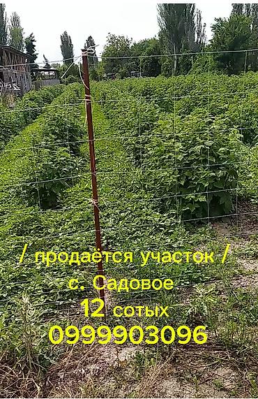 куплю сад: 12 соток, Для строительства, Красная книга — 1