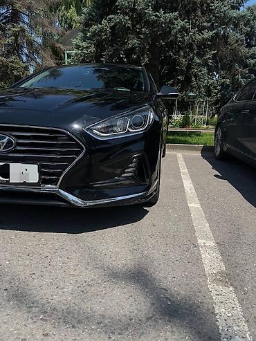 nobles: Hyundai Sonata: 2018 г., 2 л, Автомат, Бензин, Седан — 1