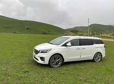 касем машина: Kia Carnival: 2019 г., 2.2 л, Автомат, Дизель, Минивэн — 4