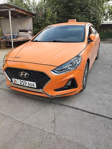 химия авто: Hyundai Sonata: 2019 г., 2 л, Автомат, Газ, Седан — 2
