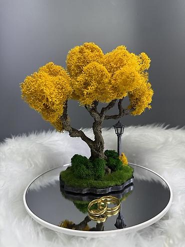 Другой декор и предметы интерьера: Декоративное настольное деревце Бонсай из стабилизированного мха- — 11