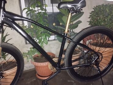 meiredi bike: İşlənmiş Şəhər velosipedi Isma, 29", sürətlərin sayı: 7, Ödənişli çatdırılma