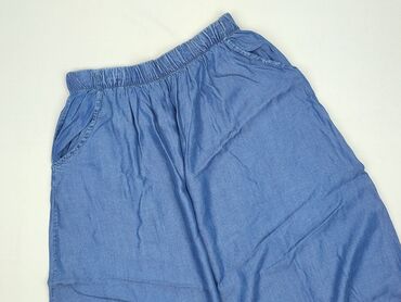massimo dutti plisowane spódnice: Women`s skirt, size S (EU 36)