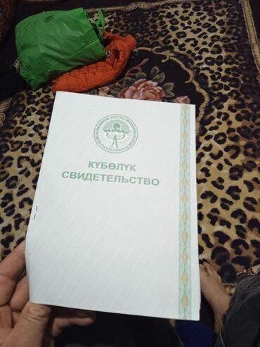 продажа частных домов бишкек: 1 соток, Бизнес үчүн