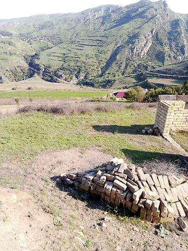 sefali mtk: 29 sot, Tikinti, Mülkiyyətçi, Kupça (Çıxarış) — 6