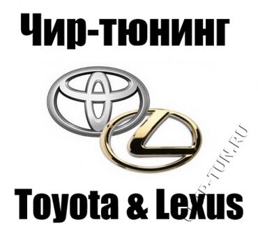 лобовое стекло тойота ипсум: Шумоизоляция, Услуги автоэлектрика, без выезда