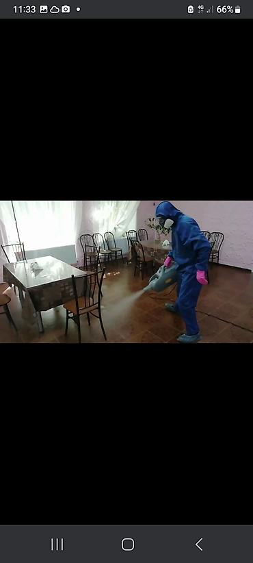 домашнии цветы: Дезинфекция, дезинсекция, | Муравьи, | Квартиры — 2