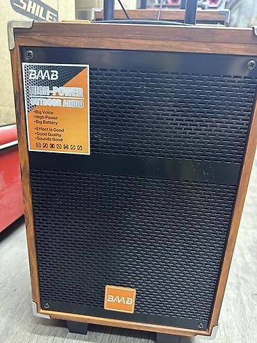 Портативная акустическая система BAAB High‑Power Outdoor Audio -