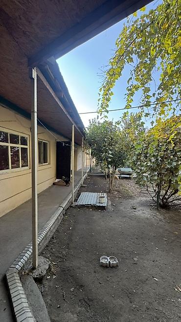 продаю дом ак ордо 1: 4 комнаты, 80 м², 8 соток, Джал — 9