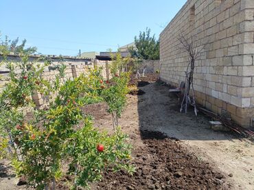 Torpaq sahələrinin satışı: 6 sot, Tikinti, Makler, Bələdiyyə — 12