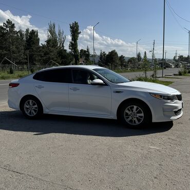 сколько стоят зимние шины на машину: Kia Optima: 2018 г., 2.4 л, Типтроник, Бензин, Седан