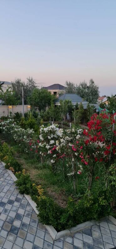 Həyət evləri və villaların satışı: 6 otaqlı, 250 kv. m, Yeni təmirli — 30
