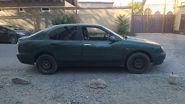 ниссан стейджа: Nissan Primera: 2000 г., Механика, Бензин, Седан — 3