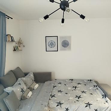 selidbe kuca: Golden star Studio apartman- Planirate savršen beg u prirodu, ali ne — 10