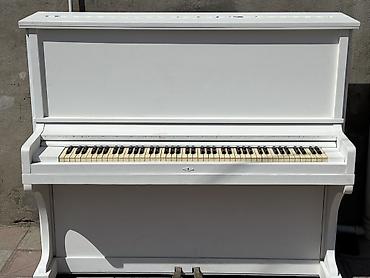ağ piano: Ağ rəngli akustik upright pianino - Klassik vertikal korpus, sadə və — 8