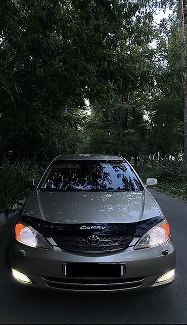 kamri 30: Toyota Camry: 2003 г., 2.4 л, Автомат, Бензин, Седан — 3