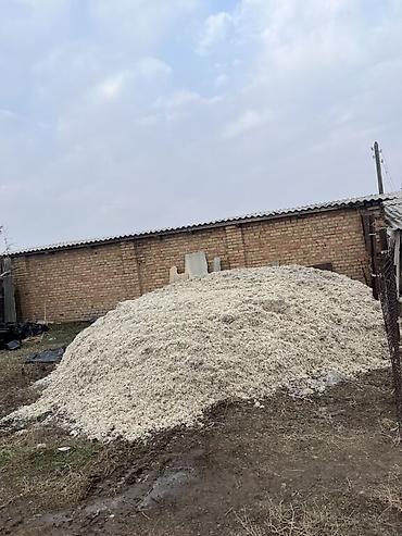 кукуруза с качаном: ЖОМ ЖОМ ЖОМ доставка!✨ ————————————— Любой регион 🇰🇬 ———————- — 3