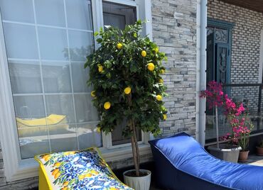 Digər tikinti materialları: Ed 7 man baslayr topdan perakenden satis var Mehsulu bir basa ozumuz — 29