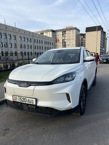 купить мопед альфа: Weltmeister EX5, 2021 г., 80000 км, Алдыңкы