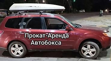 Сдаю в аренду (прокат) автобокс, багажник на крышу, auto box