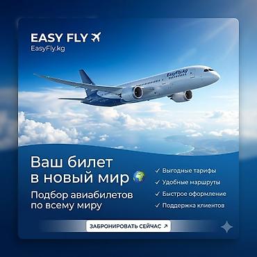 эконом понел: ✈️ Добро пожаловать в EasyFly! 🌍 Мы помогаем вам найти удобные и — 1
