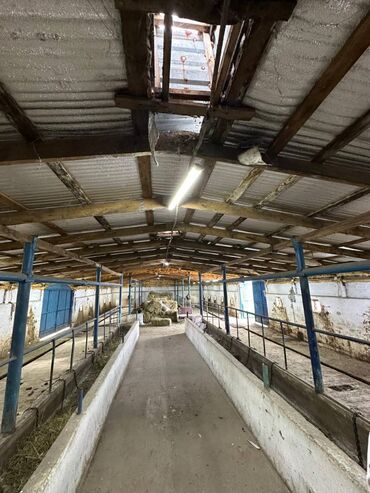 купить дом чолпон ата: Сатам Кой короо, 600 соток, Иштеп жаткан, Жабдуулары менен, Электр энергиясы, Канализация, Жылытуу