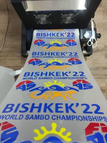 Печать: Шелкография, Высокоточная печать, Сублимационная (дисперсная) печать, | Кепки, Брендбуки, Одежда — 5