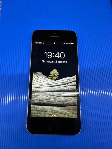 Apple iPhone: IPhone SE, 64 GB, Space Gray, Barmaq izi