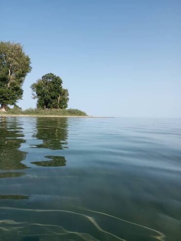 кант дрова: Пейзаж с видом на спокойную водную гладь и береговую линию. На