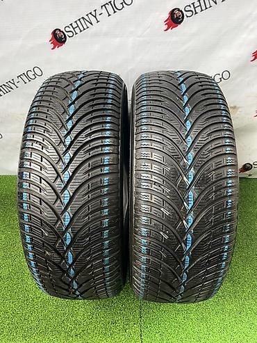 Пара автомобильных шин 205/55 R16 94H (усиленный индекс нагрузки XL)