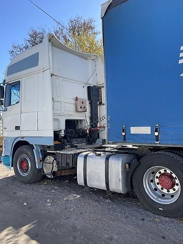 daf 2008: Тягач, DAF, 2005 г., Без прицепа — 5